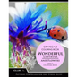 Wonderful Ladybugs and Flowers Book 1: Grayscale coloring books for adults Relaxation (Adult Coloring Books Series, grayscale fantasy coloring books) - Paperback