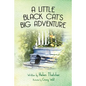 A Little Black Cat's Big Adventure - Paperback
