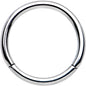 16G 3/8 Solid G23 Implant Grade Titanium Hinged Segment Ring