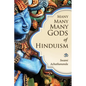 Many Many Many Gods of Hinduism: Turning believers into non-believers and non-believers into believers - Paperback
