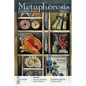 Metaphorosis May 2023 - Paperback