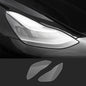 Protection Film For Telsa Model 3/Y