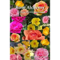 Rose Alchemy: The Reiki Seichim Integration - Paperback