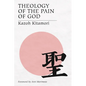 Theology of the Pain of God - Paperback