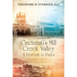 Cincinnati's Mill Creek Valley: A Portrait in Parts - Paperback