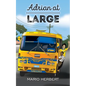 Adrian at Large - Paperback