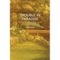 Trouble in Paradise: Twenty-Four Essays on the Social History of American Art - Paperback