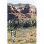 Echo and Reverb: Fabricating Space in Popular Music Recording, 1900-1960 - Paperback