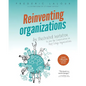 Reinventing Organizations: An Illustrated Invitation to Join the Conversation on Next-Stage Organizations - Paperback