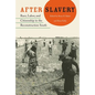 After Slavery: Race, Labor, and Citizenship in the Reconstruction South - Paperback
