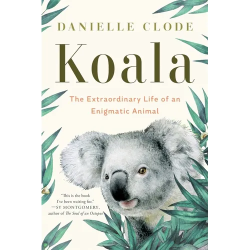 Koala: The Extraordinary Life of an Enigmatic Animal - Paperback