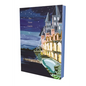 The Great Gatsby (Painted Editions) - Paperback