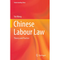 Chinese Labour Law: Theory and Practice - Paperback