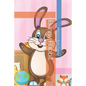 Bunny Rabbit - Paperback