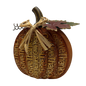 Give Thanks Harvest Autumn Pumpkin