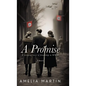 A Promise: A Sweeping Story of Friendship in WWII - Hardcover