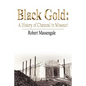 Black Gold: A History of Charcoal in Missouri - Paperback
