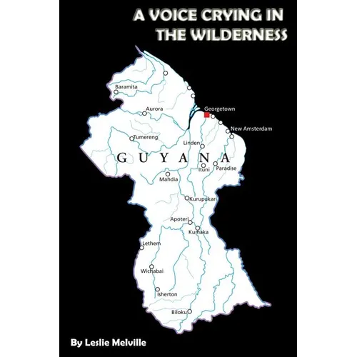 A Voice Crying in the Wilderness - Paperback