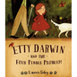 Etty Darwin and the Four Pebble Problem - Hardcover