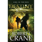 Destiny: The Girl in the Box #9 - Paperback