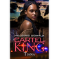 Holding Down a Cartel King - Paperback