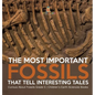 The Most Important Fossils That Tell Interesting Tales Curious About Fossils Grade 5 Children's Earth Sciences Books - Hardcover