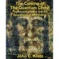 The Coming of the Quantum Christ: The Shroud of Turin and the Apocalypse of Selfishess - Paperback