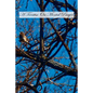 A Treatise On Mental Prayer - Paperback