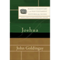 Joshua - Hardcover