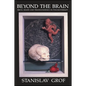 Beyond the Brain: Birth, Death, and Transcendence in Psychotherapy - Paperback