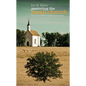 Pastoring the Small Church - Paperback
