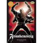 Frankenstein the Graphic Novel: Original Text - Library Binding