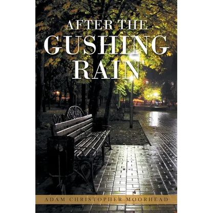 After the Gushing Rain - Paperback