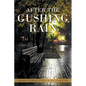 After the Gushing Rain - Paperback