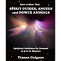How To Meet Your SPIRIT GUIDES, ANGELS and POWER ANIMALS: Spiritual Guidance On Demand in 5 to 10 Minutes, a Practical Guide - Paperback