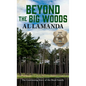 Beyond the Big Woods: The Continuing Story of the Boyd Family - Paperback