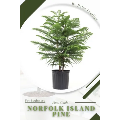 Norfolk Island Pine: Prodigy Petal, Plant Guide - Paperback
