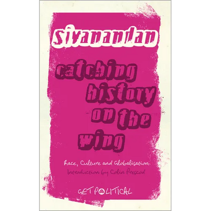 Catching History On The Wing: Race, Culture And Globalisation - Paperback
