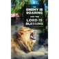 The Enemy Is Roaring and the Lord Is Blessing - Hardcover