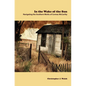 In the Wake of the Sun: Navigating the Southern Works of Cormac McCarthy - Paperback