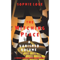 The Witching Place: A Vanished Volume (A Curious Bookstore Cozy Mystery-Book 4) - Hardcover