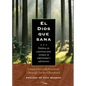El Dios Que Sana/ The God Who Heals - Paperback