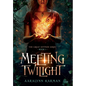 Meeting Twilight - Hardcover