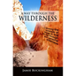 A Way Through the Wilderness: Following the footsteps of Moses find the way through your personal wilderness. - Paperback