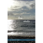 Seashells - Paperback