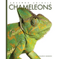Chameleons - Library Binding