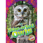 Saw-Whet Owls - Library Binding