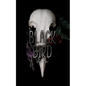 Black Bird - Paperback