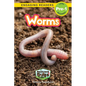 Worms: Backyard Bugs and Creepy-Crawlies (Engaging Readers, Level Pre-1) - Paperback