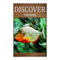 Piranha - Discover: Early reader's wildlife photography book - Paperback